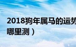 2018狗年属马的运势（2018我的狗年运势在哪里测）