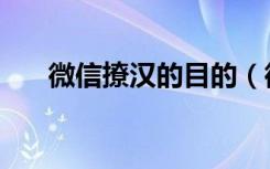 微信撩汉的目的（微信胡撩是干嘛的）
