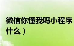 微信你懂我吗小程序（微信你懂我吗小程序是什么）