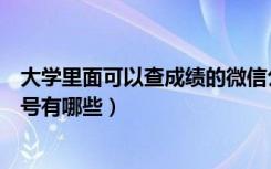 大学里面可以查成绩的微信公众号（查大学成绩的微信公众号有哪些）