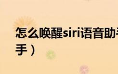 怎么唤醒siri语音助手（怎么唤醒siri语音助手）