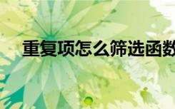 重复项怎么筛选函数（重复项怎么筛选）