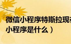 微信小程序特斯拉现在怎么购买（微信特斯拉小程序是什么）