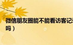 微信朋友圈能不能看访客记录（微信朋友圈能看到访客记录吗）