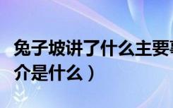 兔子坡讲了什么主要事件（《兔子坡》内容简介是什么）