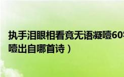 执手泪眼相看竟无语凝噎60字短文（执手相看泪眼竟无语凝噎出自哪首诗）