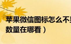 苹果微信图标怎么不显示消息数量（微信消息数量在哪看）