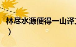 林尽水源便得一山译文（林尽水源是什么意思）