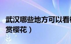 武汉哪些地方可以看樱花（武汉哪些地方可以赏樱花）