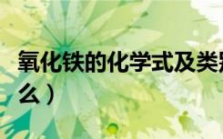 氧化铁的化学式及类别（氧化铁的化学式是什么）