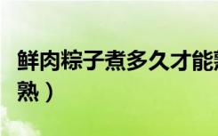 鲜肉粽子煮多久才能熟（鲜肉粽子要煮多久才熟）