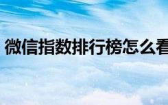 微信指数排行榜怎么看（微信指数在哪里看）