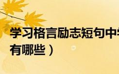 学习格言励志短句中学生（励志格言经典短句有哪些）