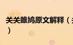 关关雎鸠原文解释（关关雎鸠全文翻译是什么）