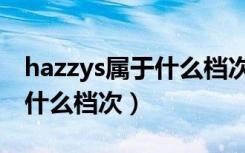 hazzys属于什么档次的奢侈品（hazzys属于什么档次）