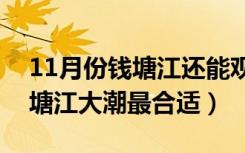 11月份钱塘江还能观潮吗（什么时候去看钱塘江大潮最合适）