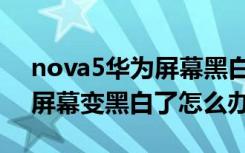 nova5华为屏幕黑白如何恢复（华为nova8屏幕变黑白了怎么办）