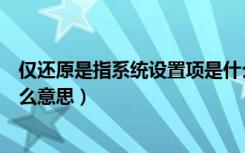 仅还原是指系统设置项是什么意思（仅还原系统设置项是什么意思）