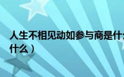 人生不相见动如参与商是什么意思（动如参与商的上一句是什么）
