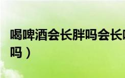 喝啤酒会长胖吗会长啤酒肚吗（喝啤酒会长胖吗）