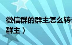 微信群的群主怎么转让（微信6.3.16怎么转让群主）