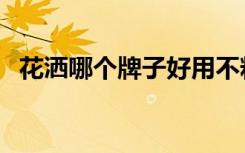 花洒哪个牌子好用不粘（花洒哪个牌子好）