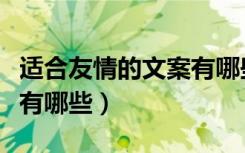 适合友情的文案有哪些（关于友情的简短文案有哪些）