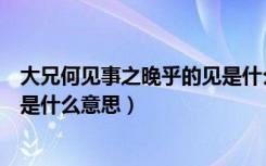 大兄何见事之晚乎的见是什么意思（大兄何见事之晚乎的见是什么意思）