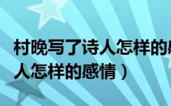 村晚写了诗人怎样的感情（《村晚》表达了诗人怎样的感情）