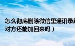 怎么彻底删除微信里通讯录黑名单（微信加入黑名单再删除,对方还能加回来吗）