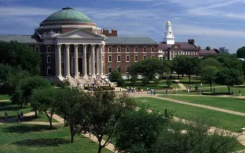 明尼苏达大学的新项目旨在阻止鸟类碰撞