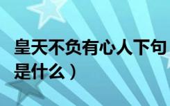 皇天不负有心人下句（皇天不负有心人上一句是什么）