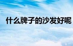 什么牌子的沙发好呢（什么牌子的沙发好）