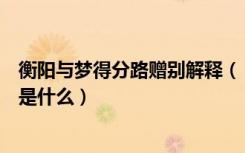 衡阳与梦得分路赠别解释（《衡阳与梦得分路赠别》的原文是什么）