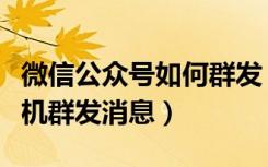 微信公众号如何群发（微信公众平台怎么用手机群发消息）