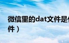 微信里的dat文件是什么（微信dat是什么文件）