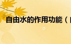 自由水的作用功能（自由水的作用是什么）