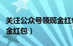 关注公众号领现金红包（微信公众号怎么发现金红包）