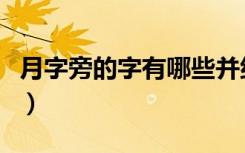 月字旁的字有哪些并组词（月字旁的字有哪些）