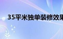 35平米独单装修效果图（独单怎么装修）