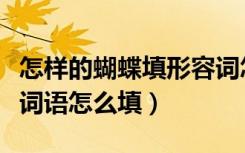 怎样的蝴蝶填形容词怎么填（什么样的蝴蝶填词语怎么填）