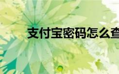 支付宝密码怎么查看（支付宝密码）