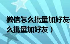 微信怎么批量加好友一天加500多个（微信怎么批量加好友）