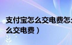 支付宝怎么交电费怎么查用户编号（支付宝怎么交电费）