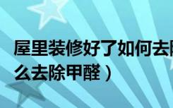 屋里装修好了如何去除甲醛（屋子刚装修完怎么去除甲醛）