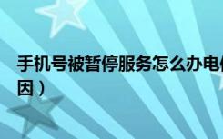 手机号被暂停服务怎么办电信（手机号被暂停服务是什么原因）