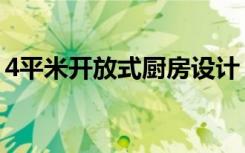 4平米开放式厨房设计（4平米厨房怎么装修）