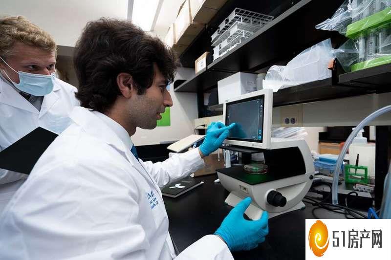 免疫学研究人员探索调节性 T 细胞生物学以开发活性药物