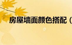 房屋墙面颜色搭配（房屋墙面怎么处理）