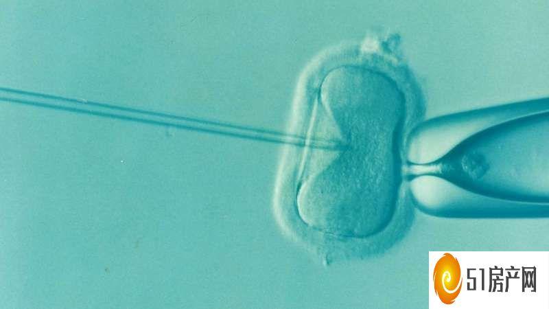 由于镶嵌异常而未植入的许多IVF胚胎可能是可行的